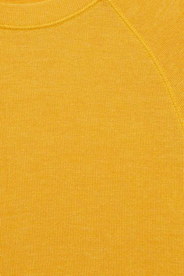 Raglan sleeve T-shirt — Mustard 7