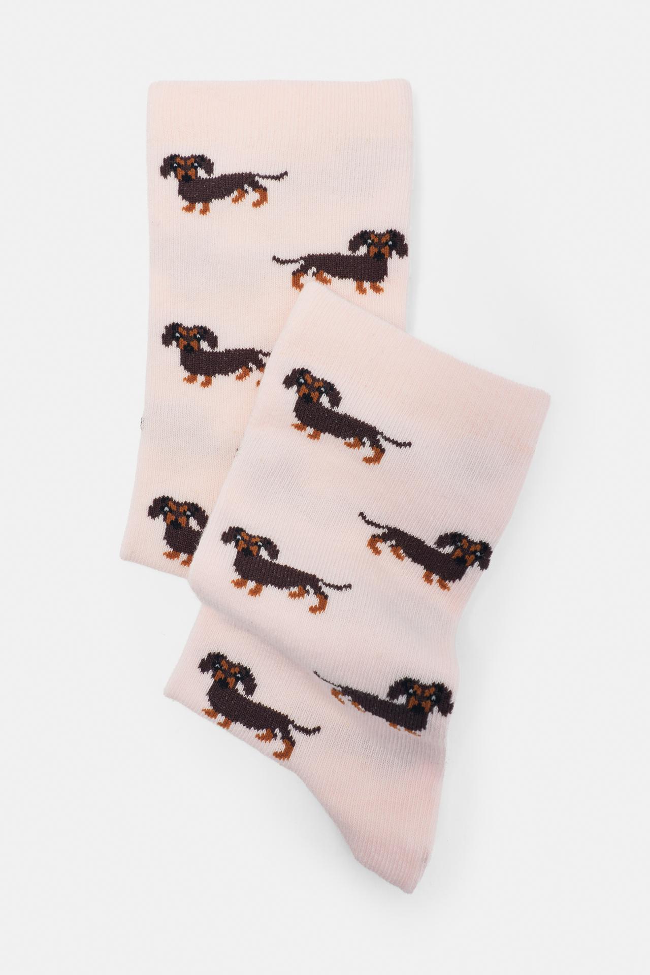 Dachshund graphic socks — Pink
