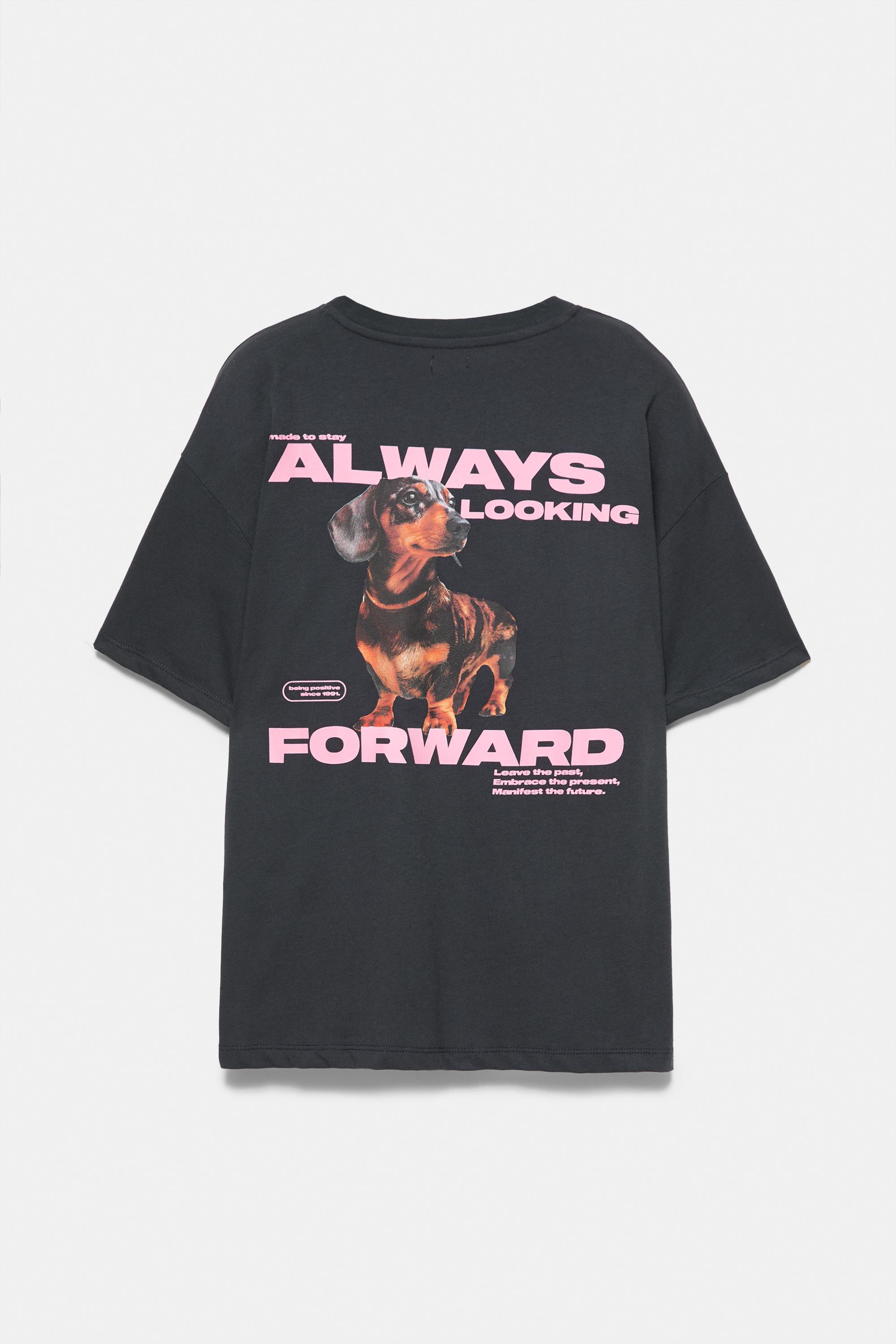 Pull&Bear Sosis köpek grafikli tişört görsel 4
