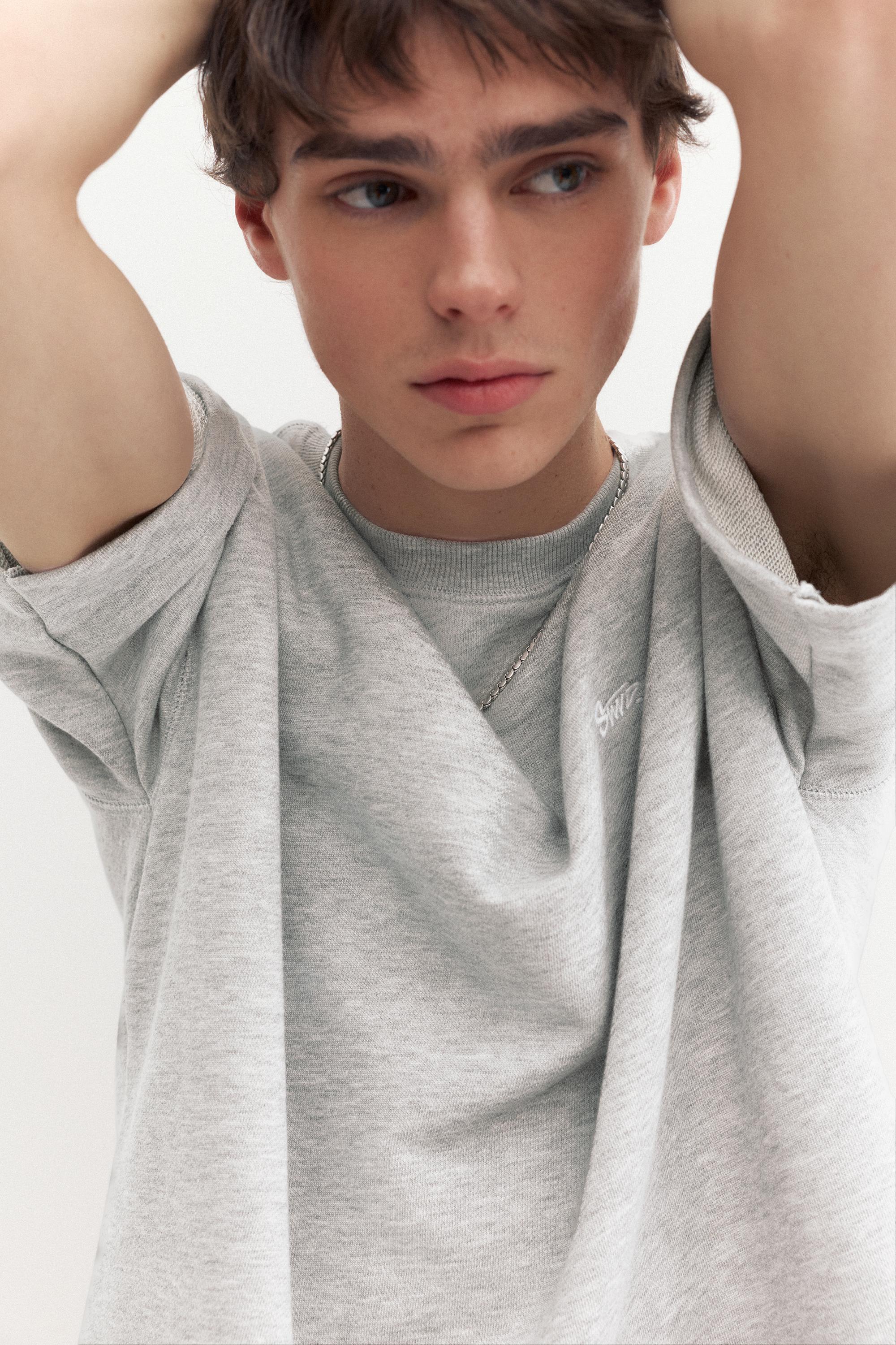 Short sleeve STWD sweatshirt — Greyish
