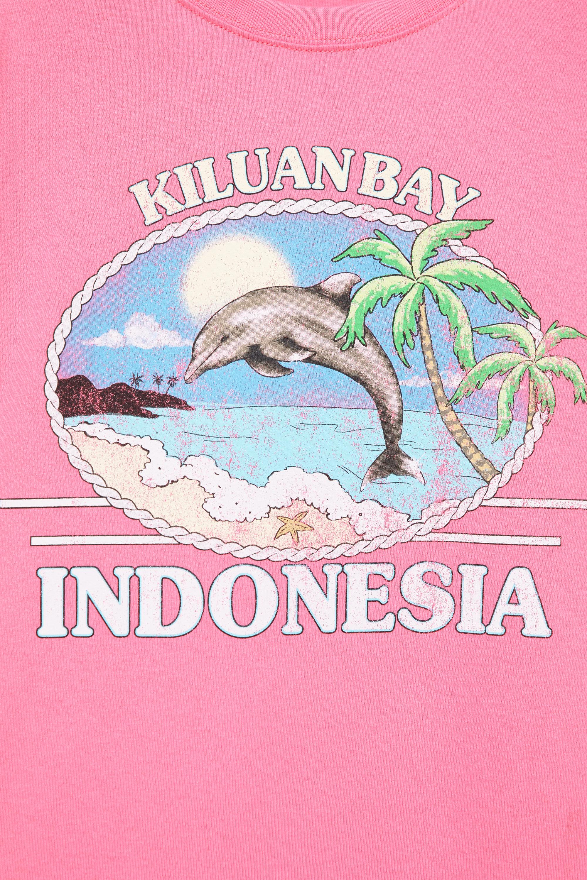 Indonesia dolphin graphic T-shirt — Pink