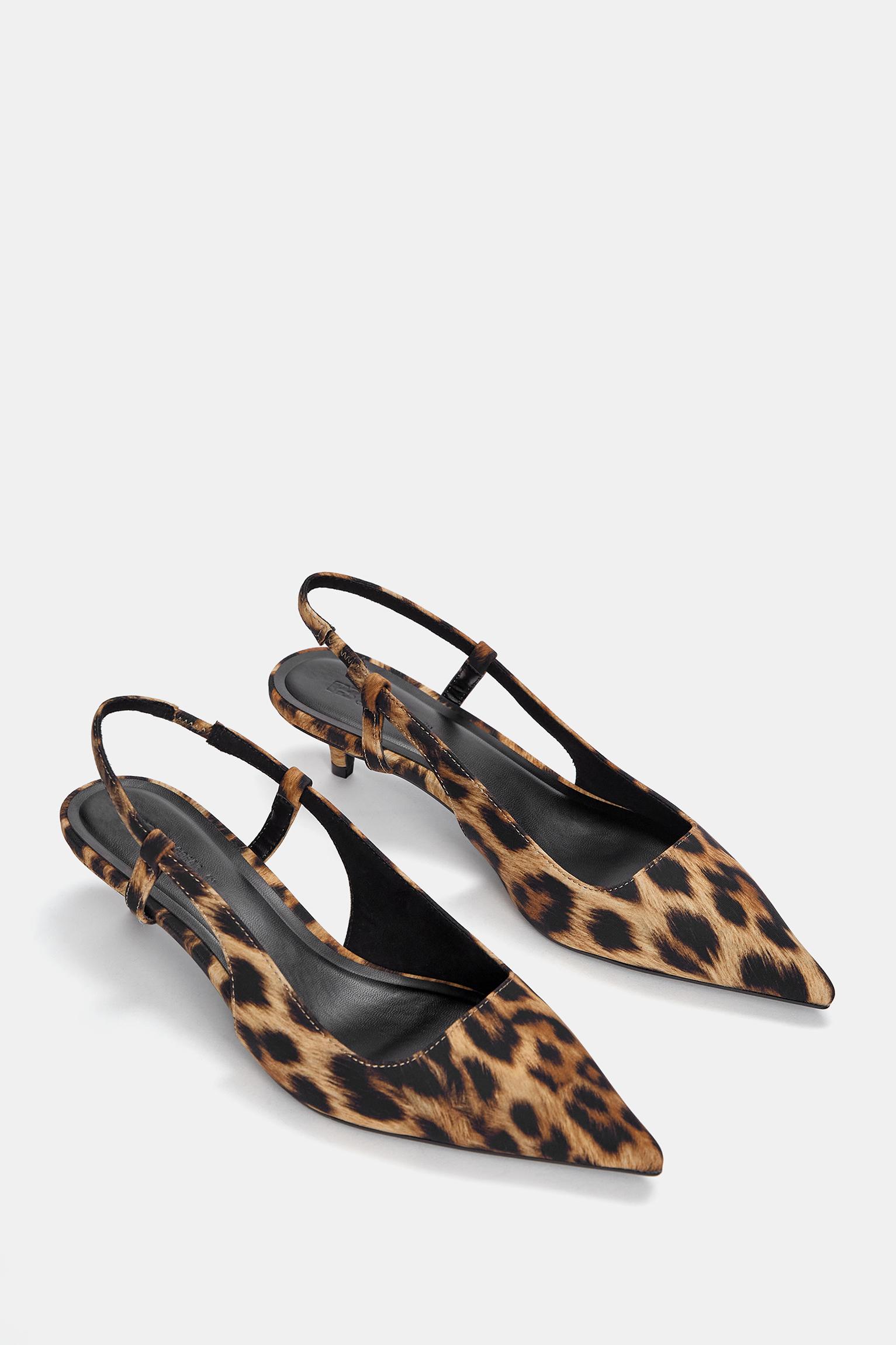 Leopard print kitten best sale