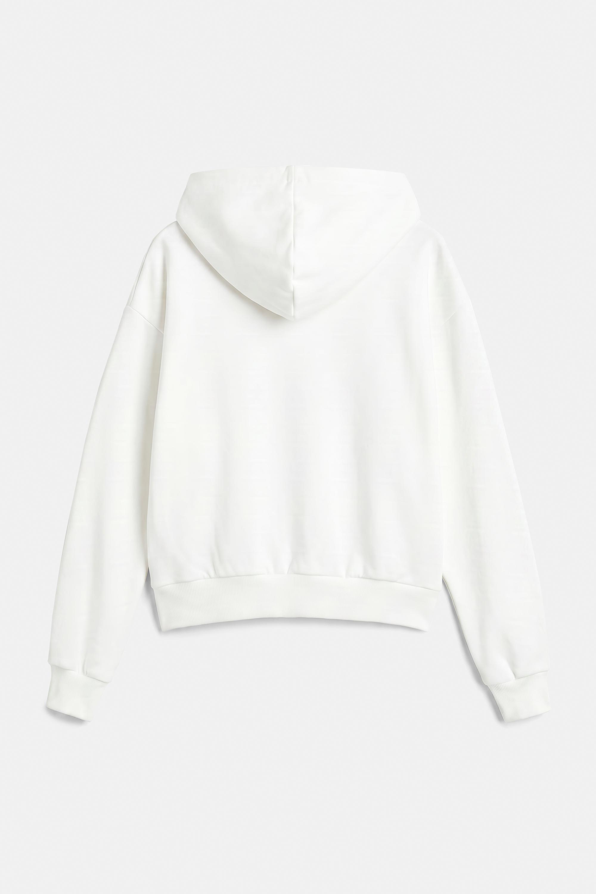France zip-up hoodie — Ice